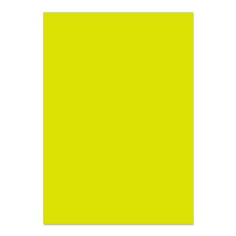 Blake Colour Paper Acid Green Paper 210x297mm 120gsm Pack 50 Code 86441