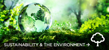 Sustainability & Wellbeing